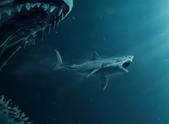 Wallpaper The Meg, shark, diver, 4K, Movies 274753801